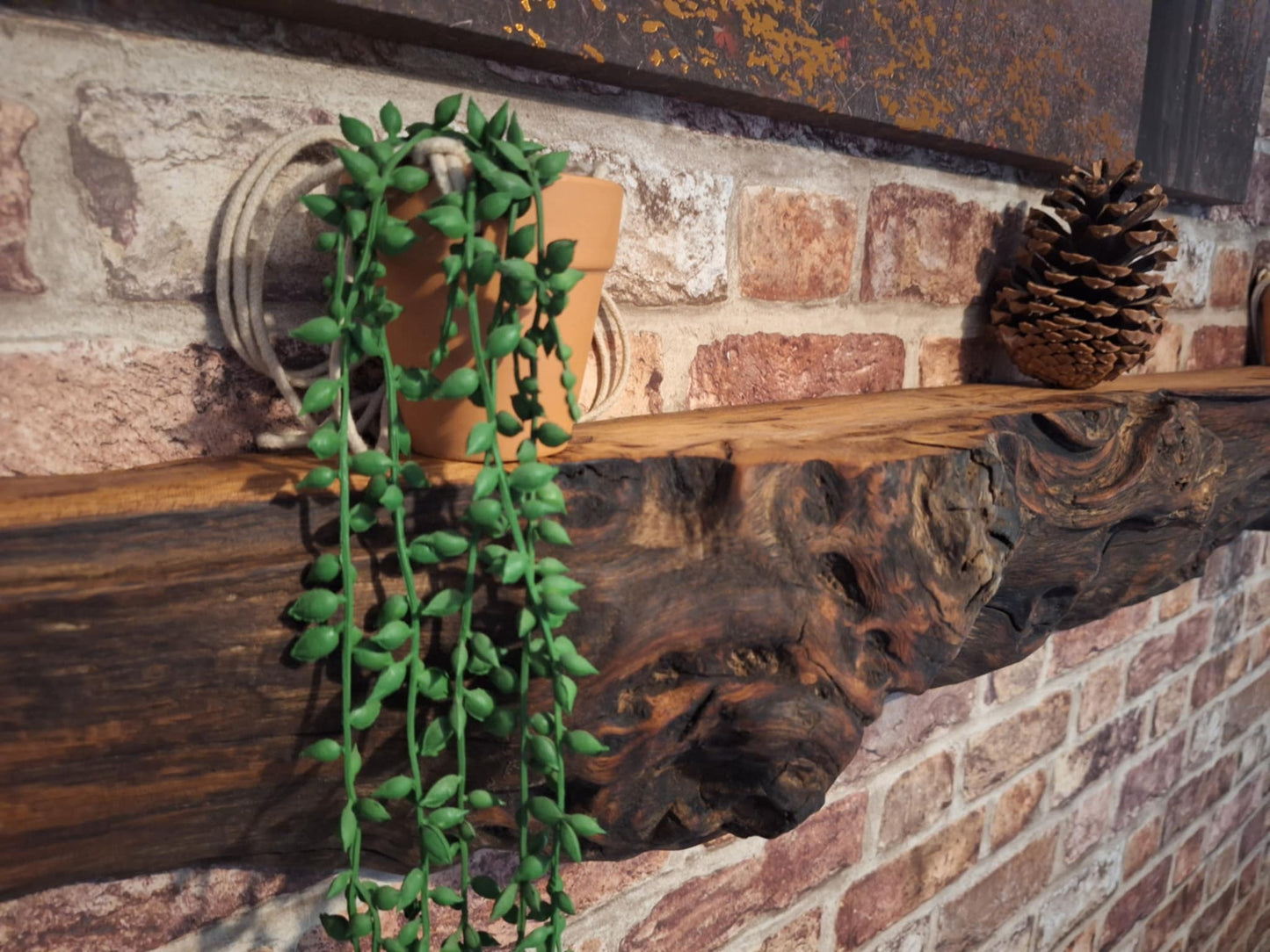Radagast the Brown's Burl Edge Shelf 10 (W) x 15 (D) cm