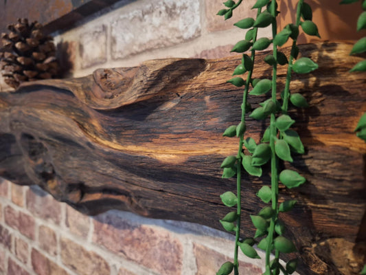 Radagast the Brown's Burl Edge Shelf 10 (W) x 15 (D) cm