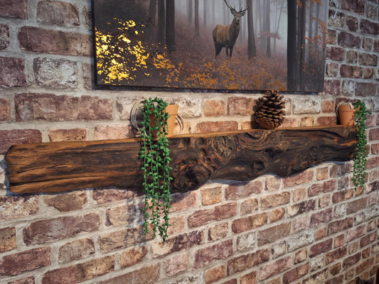 Radagast the Brown's Burl Edge Shelf 10 (W) x 15 (D) cm