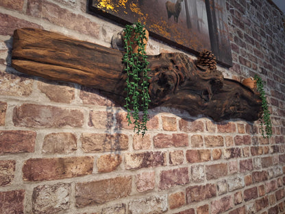 Radagast the Brown's Burl Edge Shelf 10 (W) x 15 (D) cm