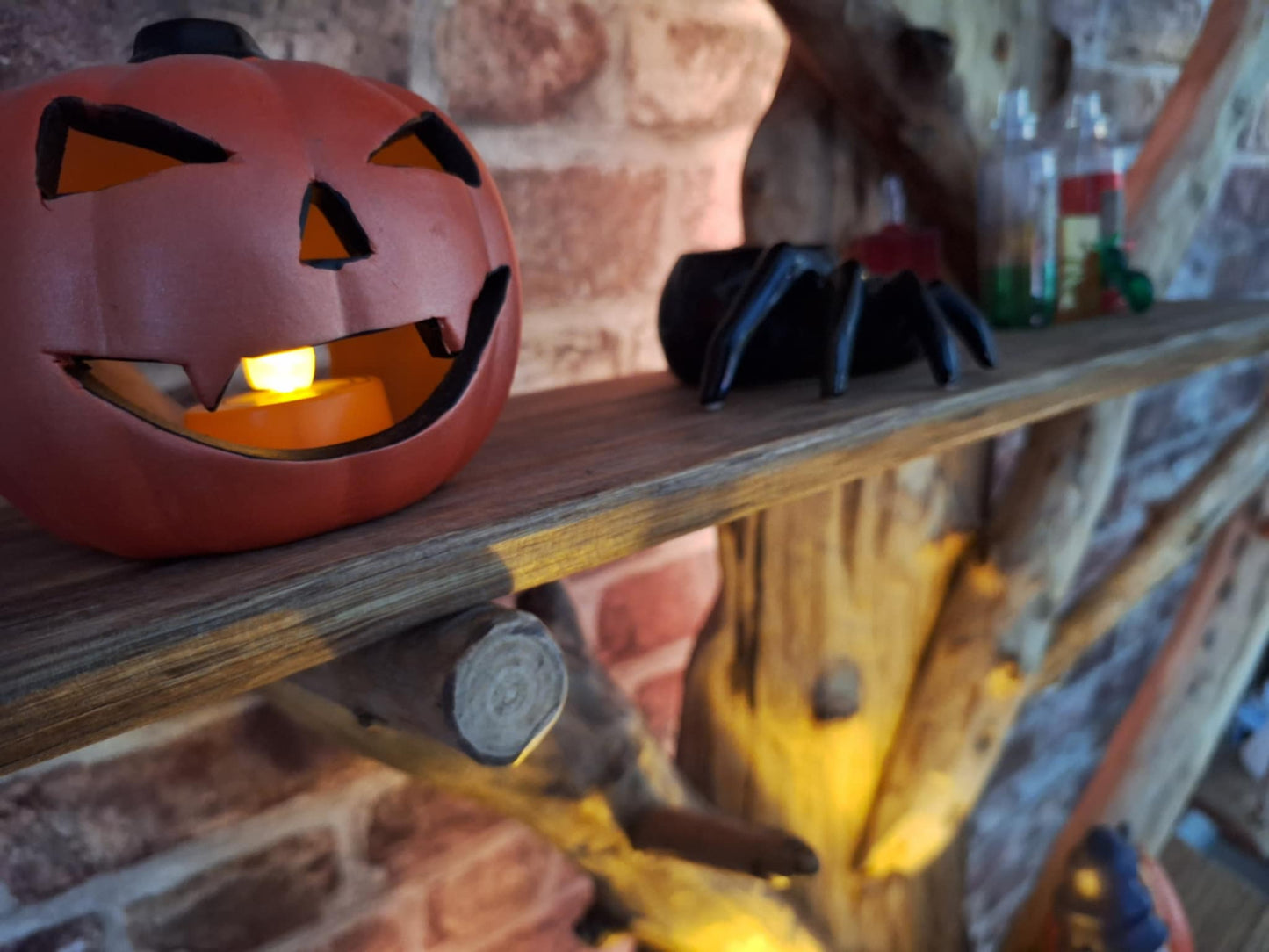 Four Seasons Chestnut Oak Tree Bookcase (7 Shelves)