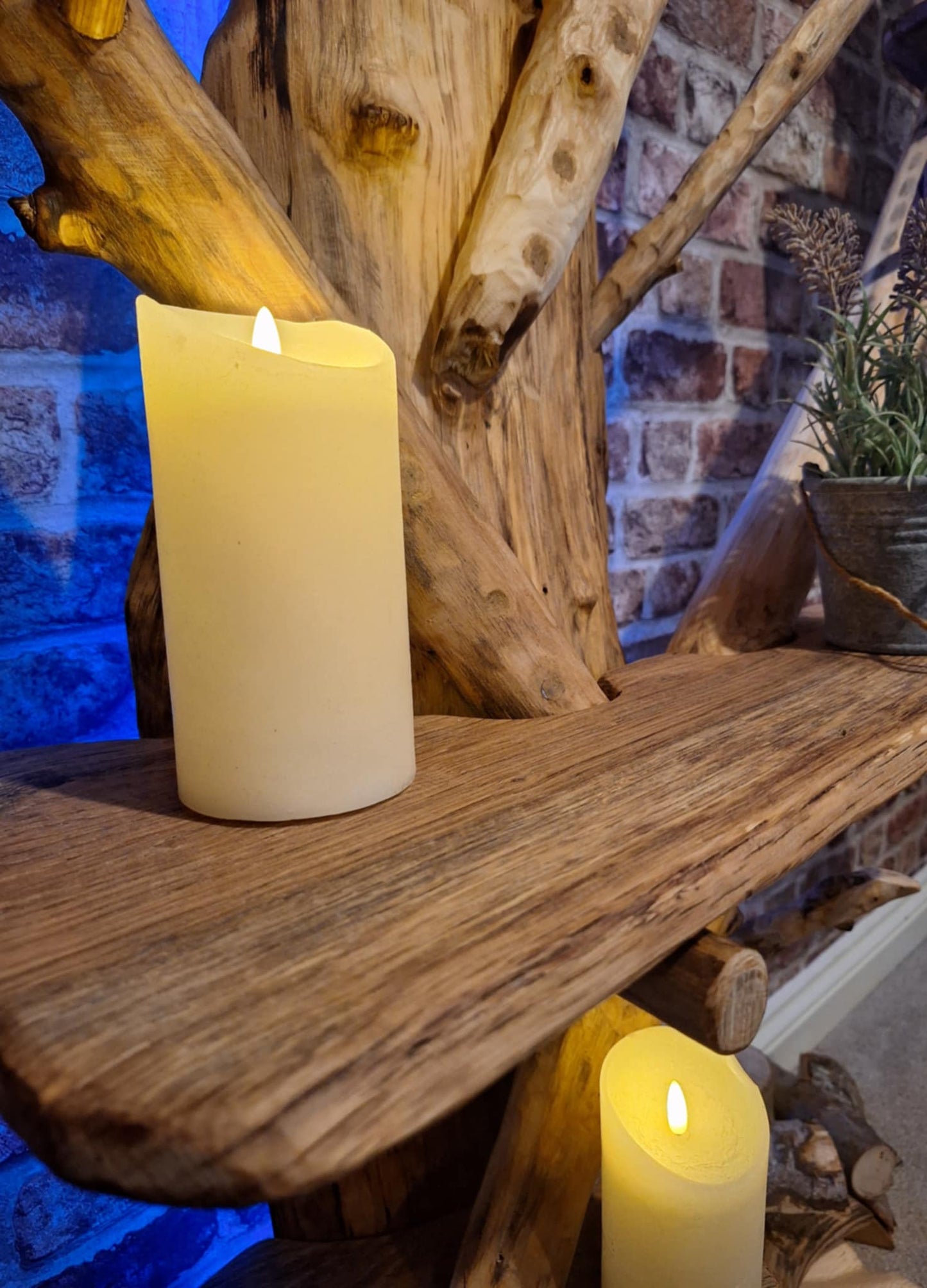 Four Seasons Chestnut Oak Tree Bookcase (7 Shelves)