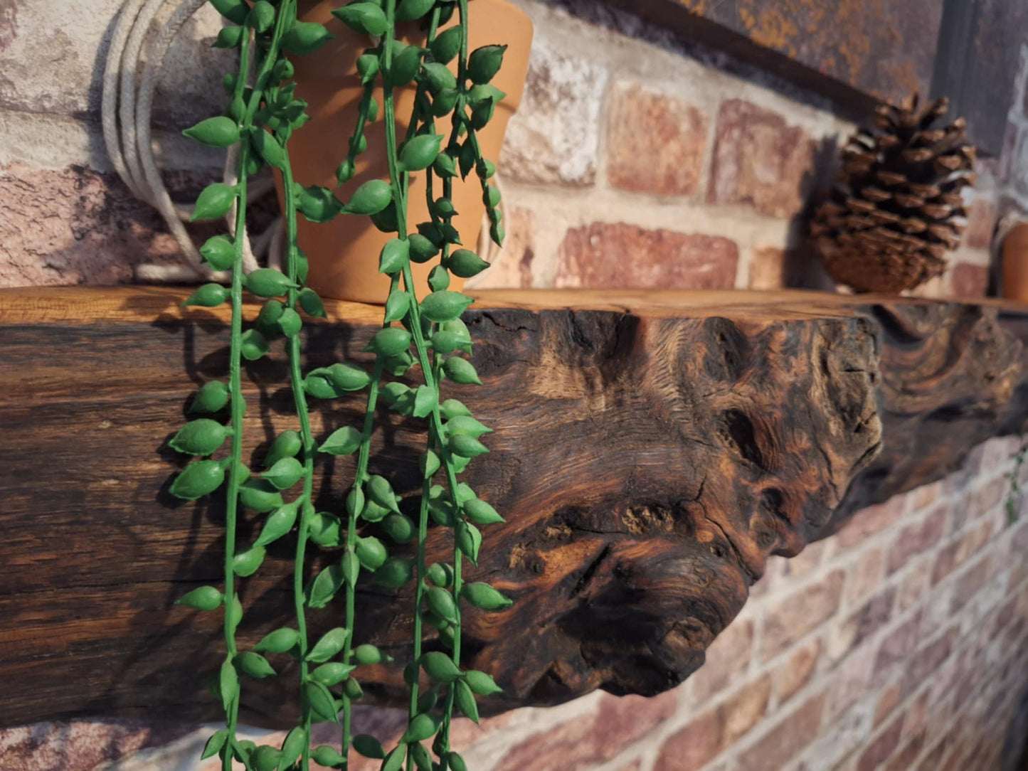Radagast the Brown's Burl Edge Shelf 10 (W) x 15 (D) cm