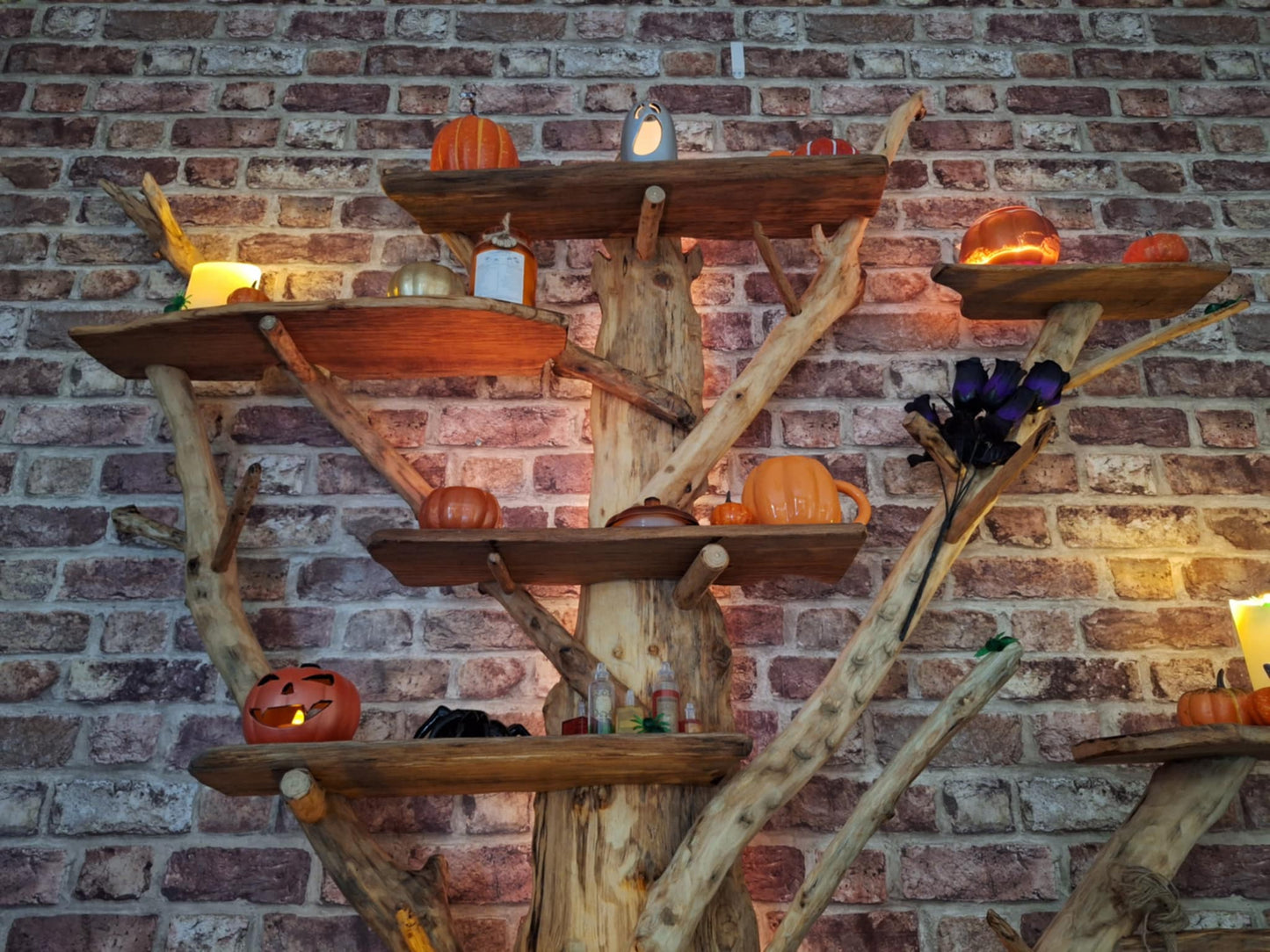 Four Seasons Chestnut Oak Tree Bookcase (7 Shelves)