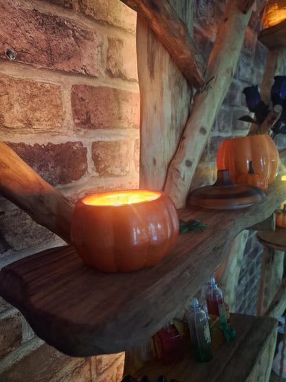 Four Seasons Chestnut Oak Tree Bookcase (7 Shelves)